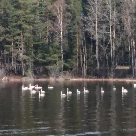 Casa vacanze Le Club 44 By Interhome