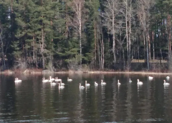 Casa de Férias Le Club 44 By Interhome