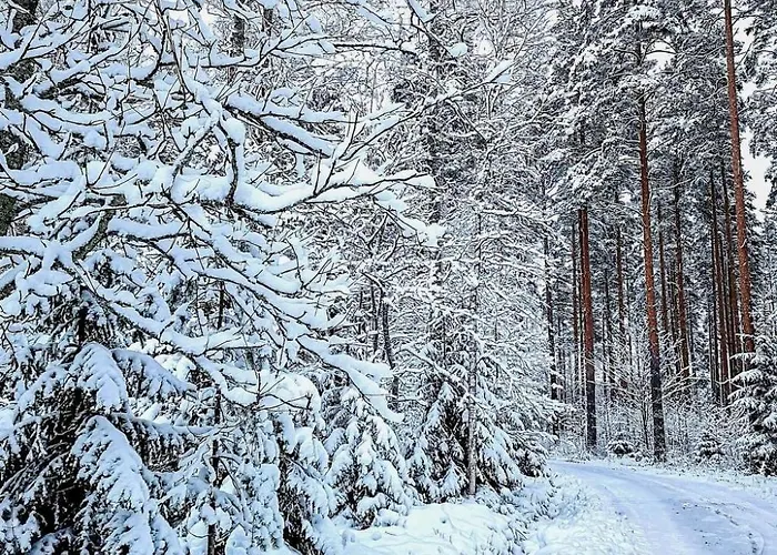 Le Club 44 By Interhome Kausala