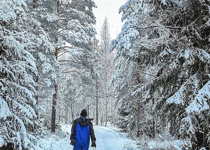 Le Club 44 By Interhome Kausala